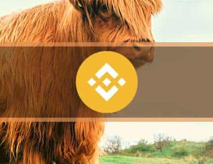 BNB Position: $160M Secured