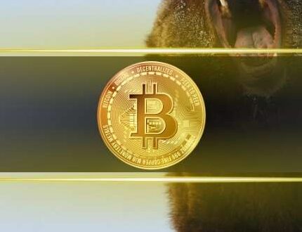 Bitcoin Plunge: New Bear Market Ahead?