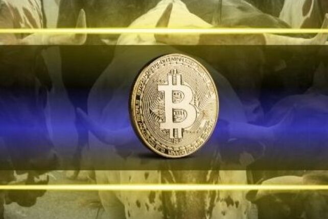 Bull Market Fears Overblown