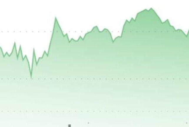 Dogecoin Price Plummets