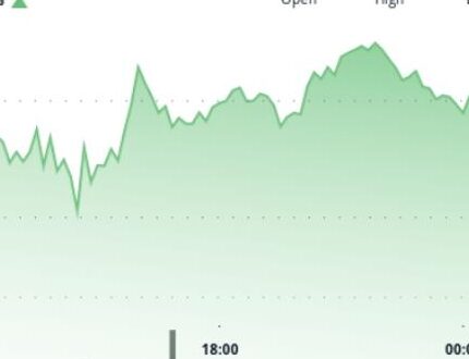 Dogecoin Price Plummets