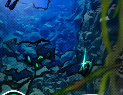 Crypto Bottoms Rarely Occur